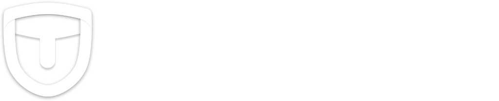 Teamseg